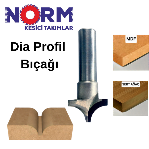 Ø30X17XZ:2 DİA PROFİL FREZE BIÇAĞI